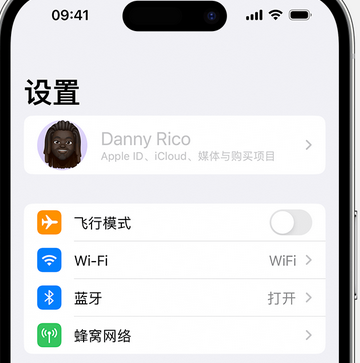 东凤镇appleID维修服务iPhone设置中Apple ID显示为灰色无法使用 