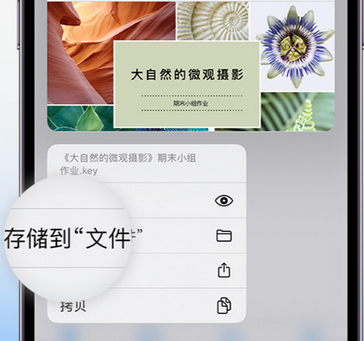 东凤镇apple维修中心分享iPhone文件应用中存储和找到下载文件