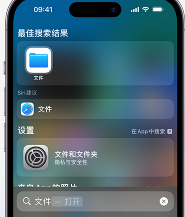 东凤镇apple维修中心分享iPhone文件应用中存储和找到下载文件 