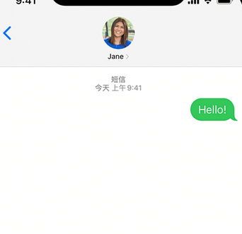 东凤镇apple维修iPhone上无法正常发送iMessage信息