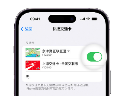 东凤镇apple维修点分享iPhone上更换Apple Pay快捷交通卡手绘卡面 