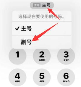 东凤镇苹果14维修店分享iPhone 14 Pro Max使用副卡打电话的方法 