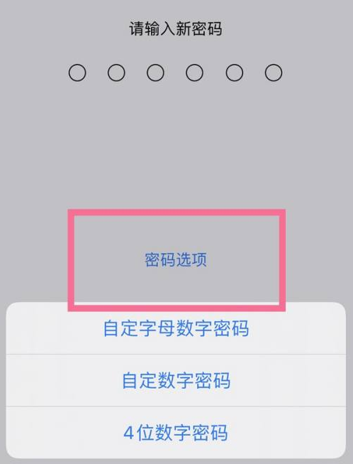 东凤镇苹果14维修分享iPhone 14plus设置密码的方法 