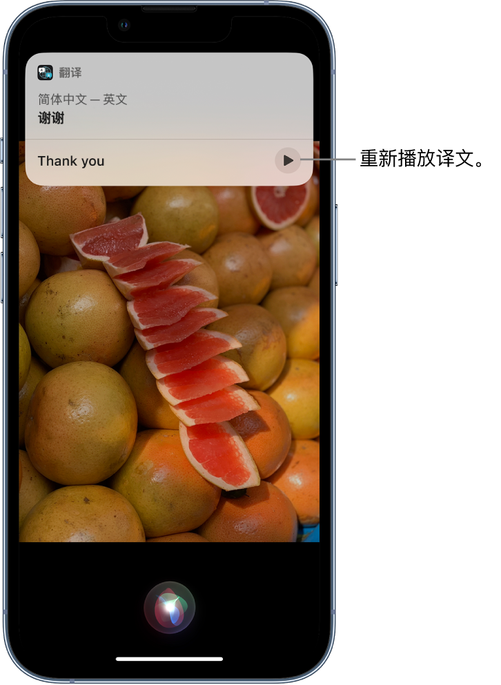 东凤镇苹果14维修分享 iPhone 14 机型中使用 Siri：了解 Siri 能帮你做什么 