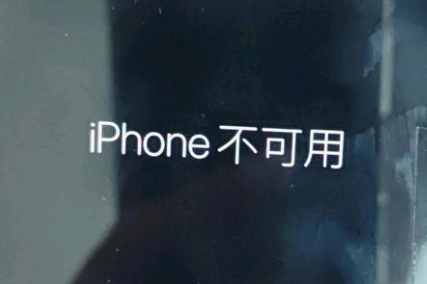 东凤镇苹果服务网点分享锁屏界面显示“iPhone 不可用”如何解决 