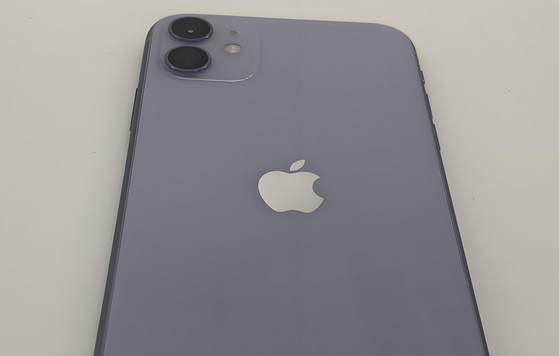 东凤镇苹果11系统维修分享iPhone11手机系统崩溃无法开机如何解决
