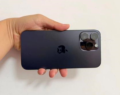 东凤镇苹果维修点分享iPhone 14 Pro Max发烫多重诱因剖析 